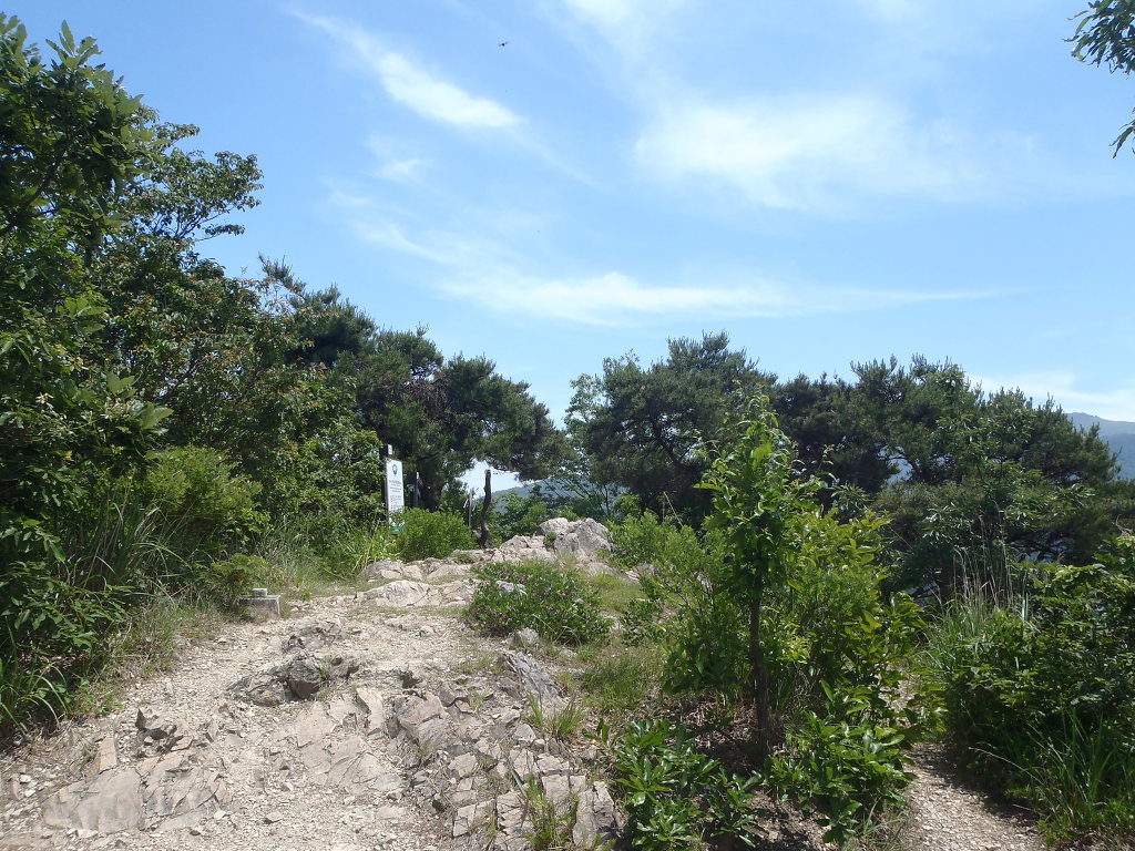 충민 이미지