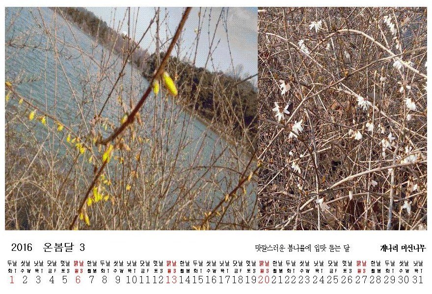 온봄달 이미지
