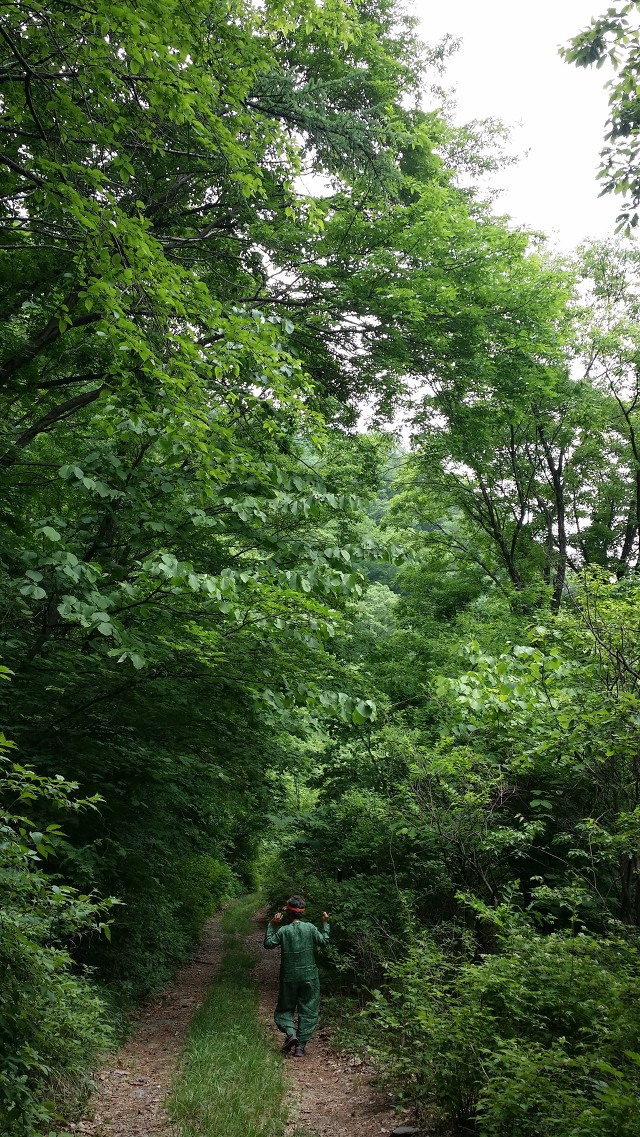 산천초목 이미지