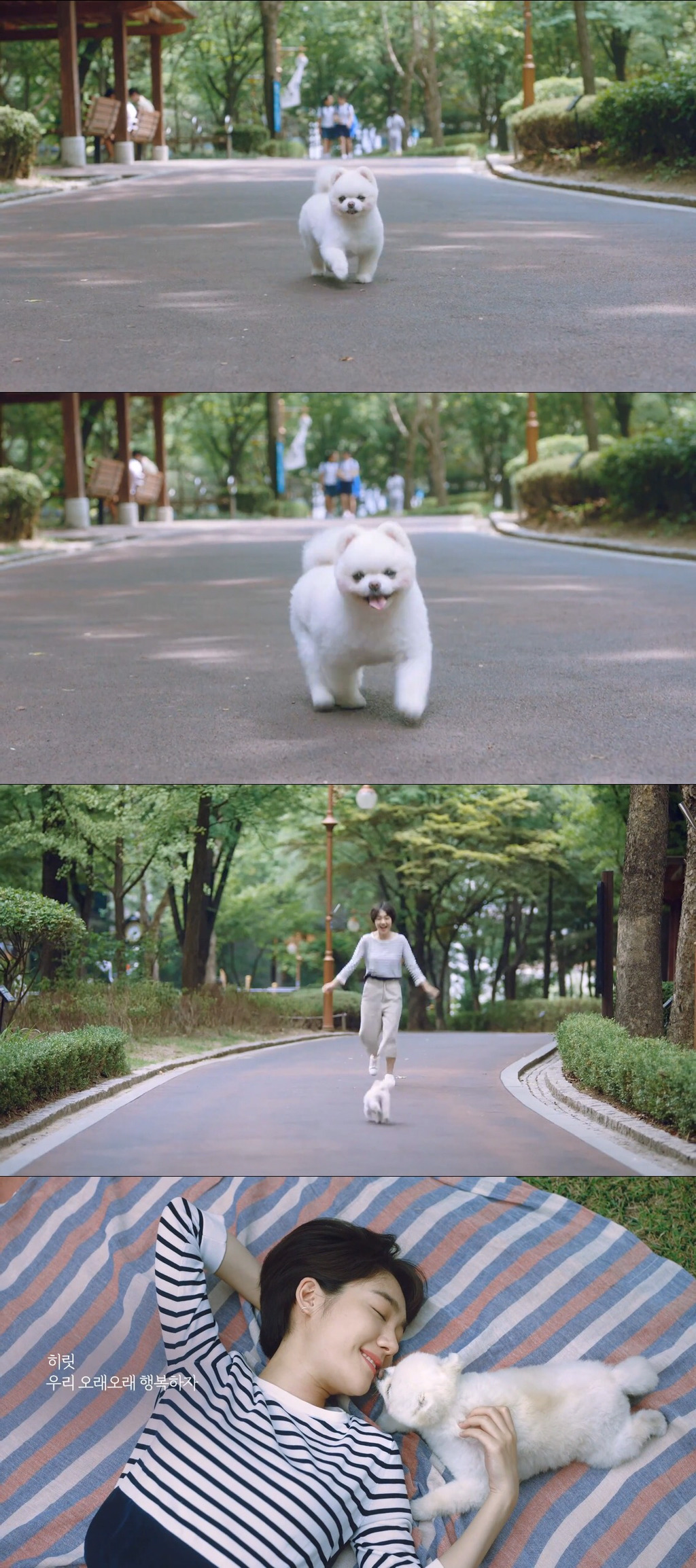 [눈물주의] 반려동물 반려인이라면 홀린듯 끝까지 보게 되는 유튜브 광고 | 인스티즈