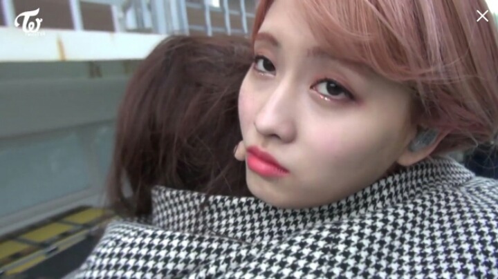 [트와이스] 모모의 일관성 | 인스티즈