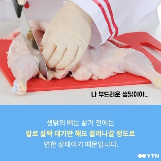 개와 닭 뼈에 관한 오해 | 인스티즈