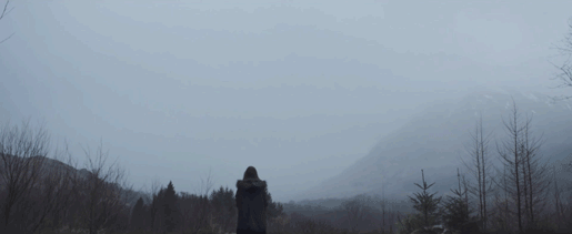 고래가 하늘을 난다면 이런 느낌?.gif | 인스티즈