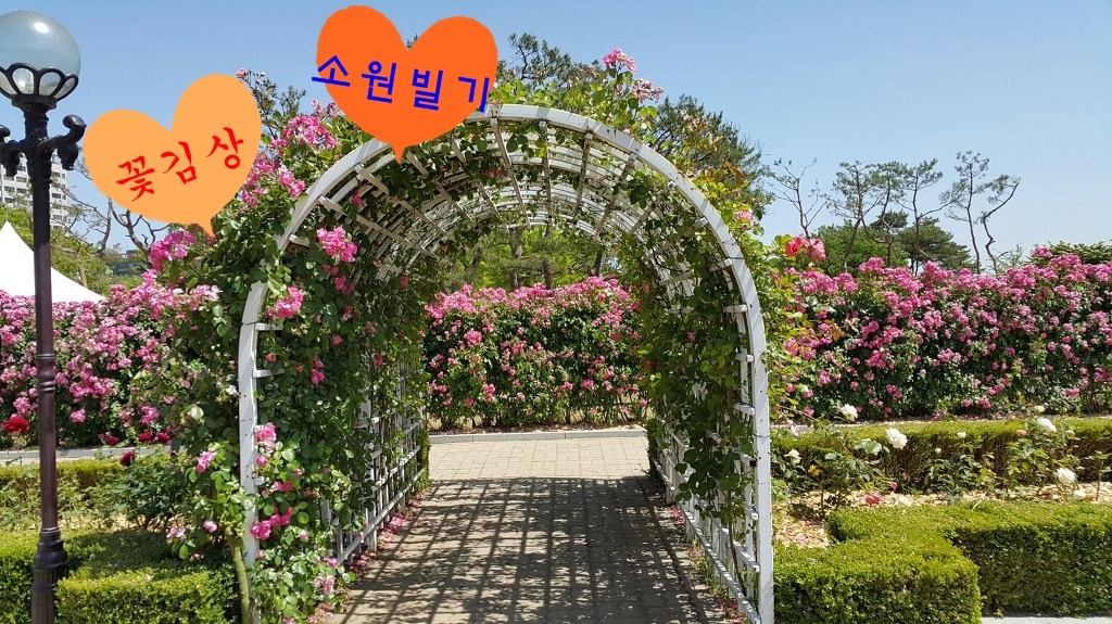 선스케이프 이미지