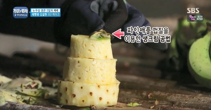 정글에서 생일을 맞은 찬성을 위해 설현이 만든 파인애플 3단케이크.jpg | 인스티즈