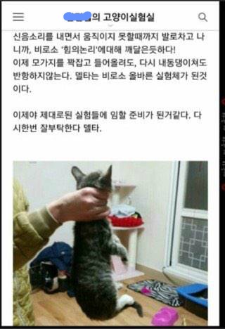 그깟 장난 좀 쳤다고 한사람 인생을 이렇게 벼랑끝까지 몰고가다니....(동물학대주의) | 인스티즈