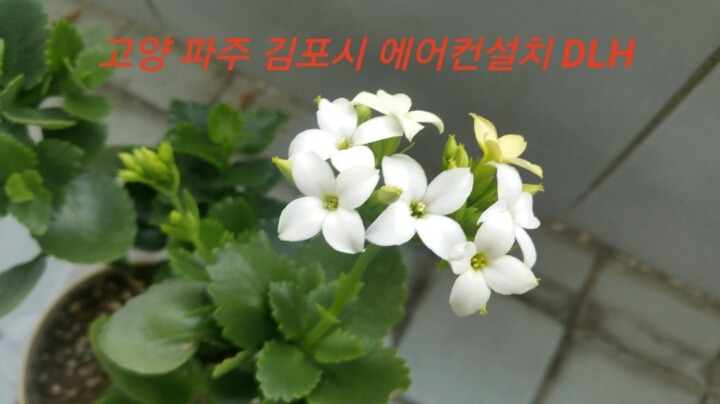 삼성엘지캐리어위니아대우에어컨이전설치 이미지
