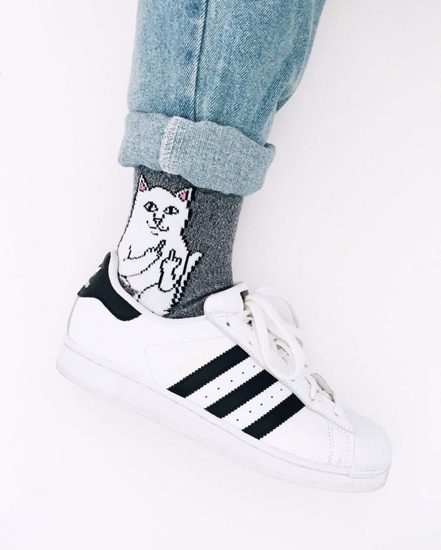 [ripndip] 유명 고양이 아이템 | 인스티즈