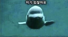 저기있잖아요... | 인스티즈