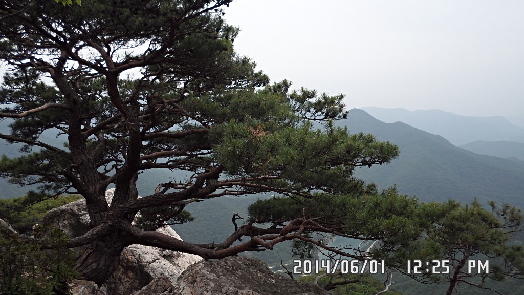 까치산 이미지