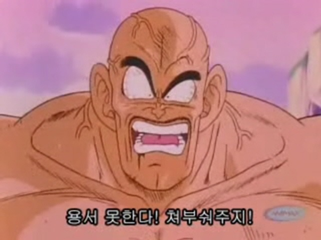 드래곤볼-(내퍼) (애니) | 인스티즈