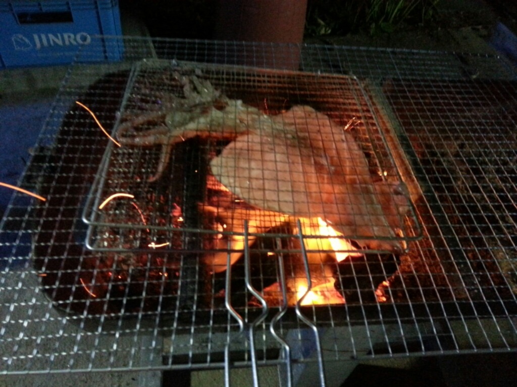 지리산흑도야지 이미지