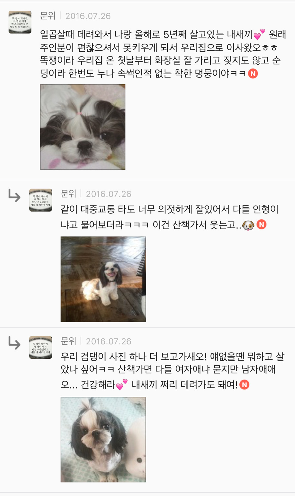 유기견 입양은 좀 꺼려져; 문제가 있어서 버려진 애들 아냐? | 인스티즈