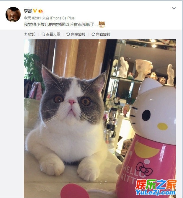 판빙빙 고양이.jpg | 인스티즈