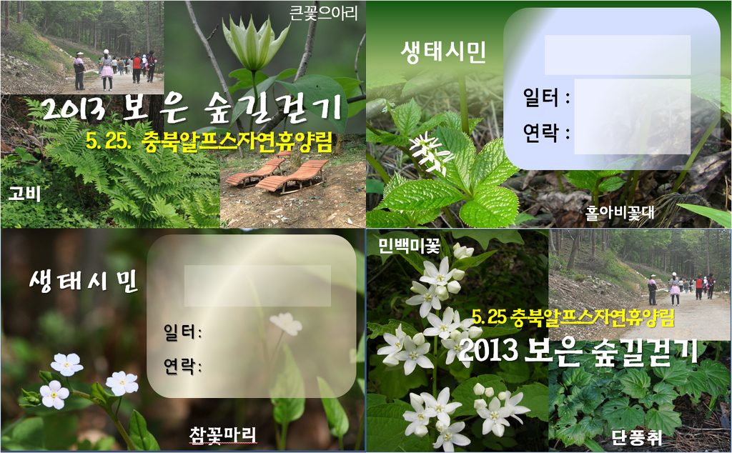 충북알프스자연휴양림 이미지