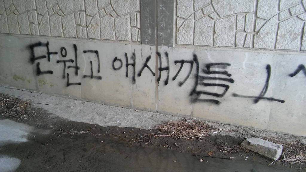 이쯤 되면 구속해야 할 상황.jpg(혐오주의) | 인스티즈