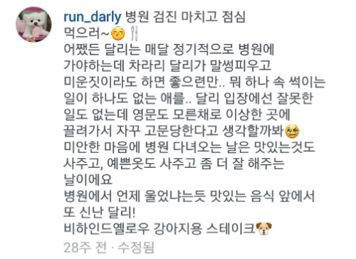 유기견에서 스타강아지가 되기까지 달리의 변화모습 | 인스티즈
