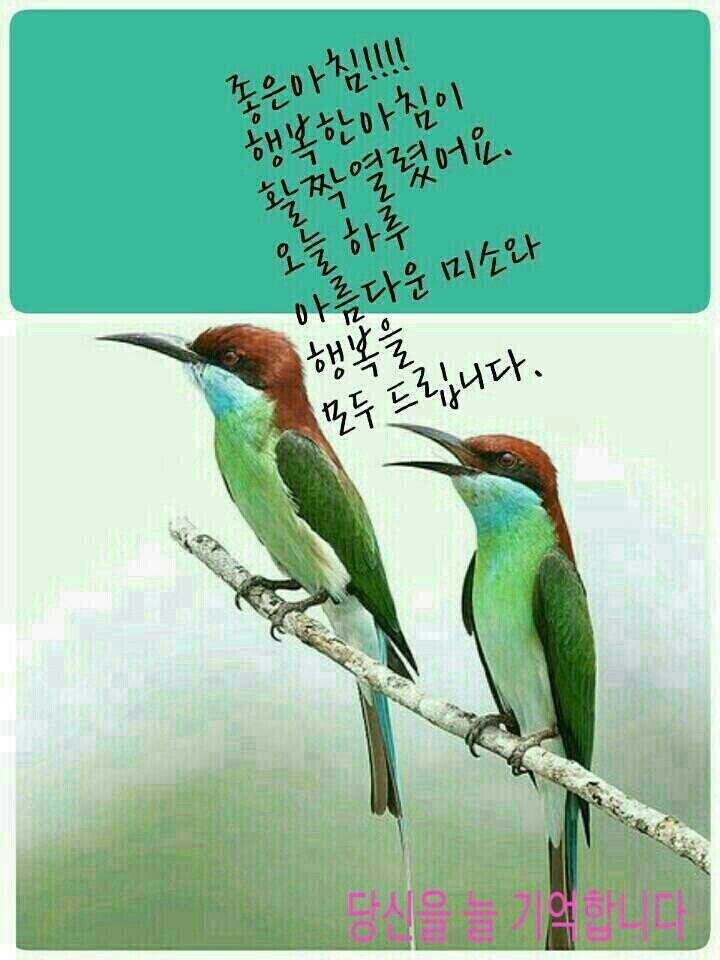 여자말을잘듣자 이미지
