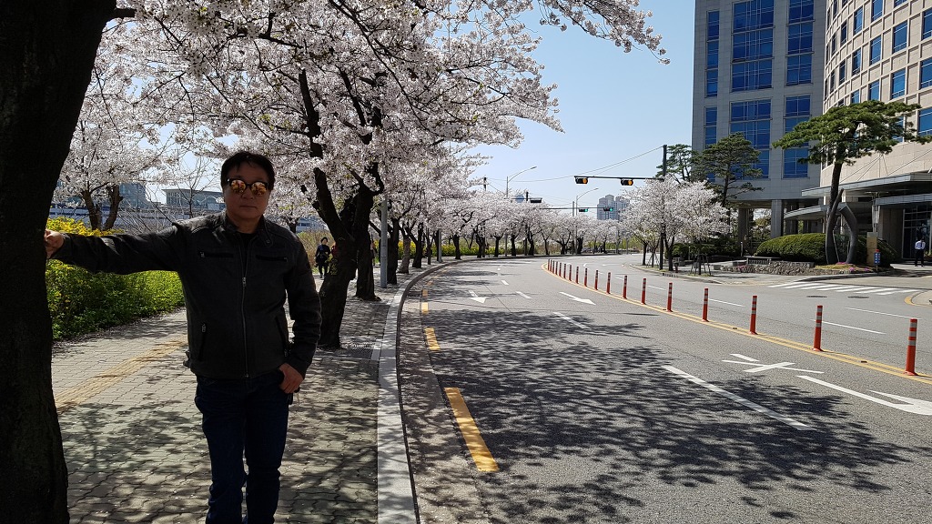 여의도투어 이미지