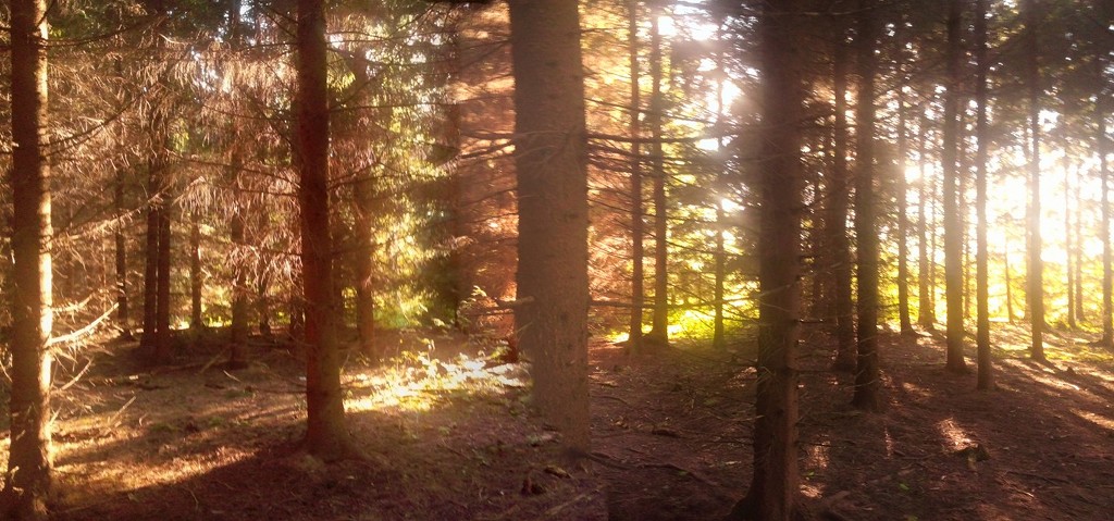 274DD141588048922A6692