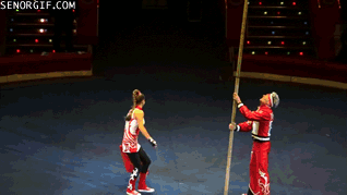 고양이 서커스단.gif | 인스티즈