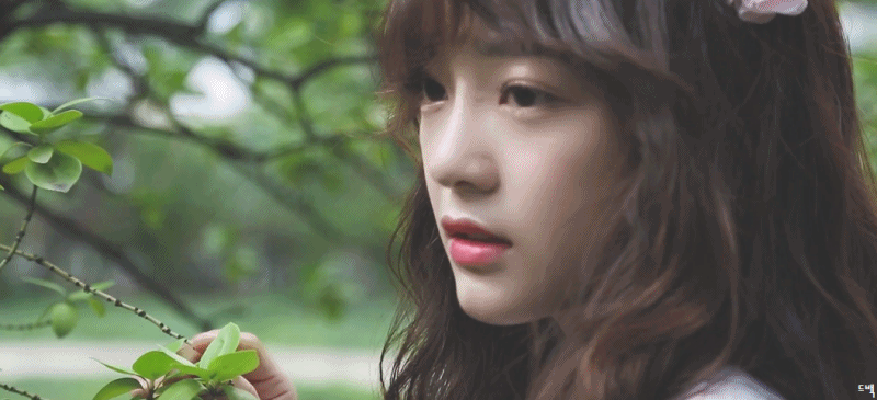사진찍는데 아주머니들이 이상하게 쳐다봤다는 세정이.gif | 인스티즈