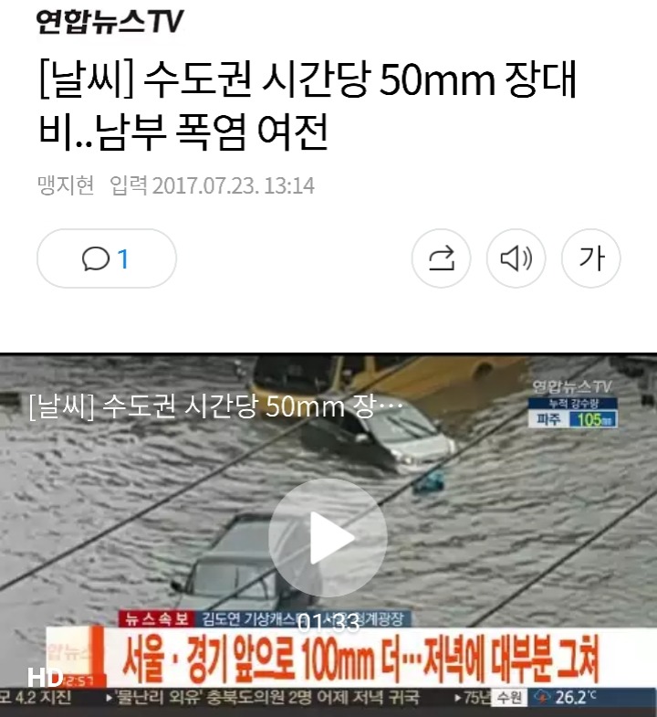 침수된 차량 위에 올라간 고양이 | 인스티즈