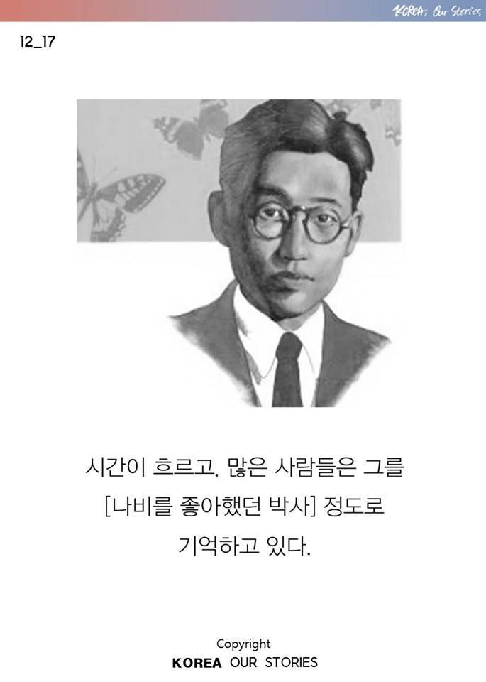 한국에서 나비가 사라졌다 | 인스티즈