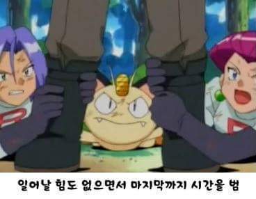 로켓단이 갓켓단인 이유 | 인스티즈