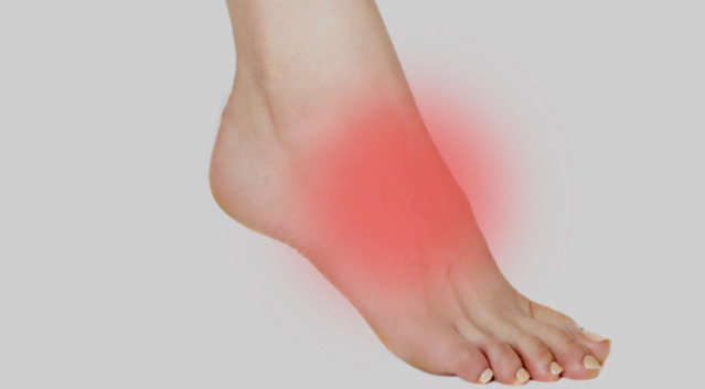 강아지 키우는 사람들 공감하는 것 | 인스티즈