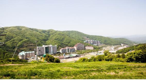 송화 이미지