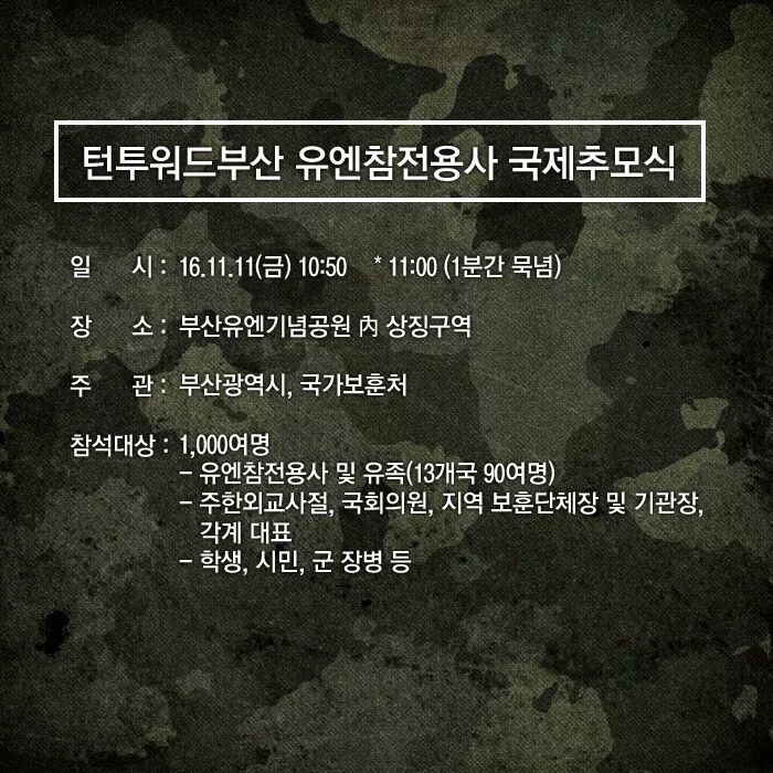 11월 11일 오전 11시 | 인스티즈