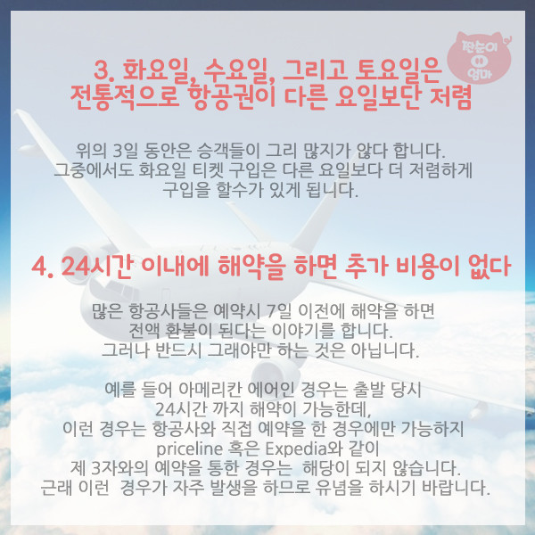 항공사가 숨기는 탑승객 권리 10가지 | 인스티즈
