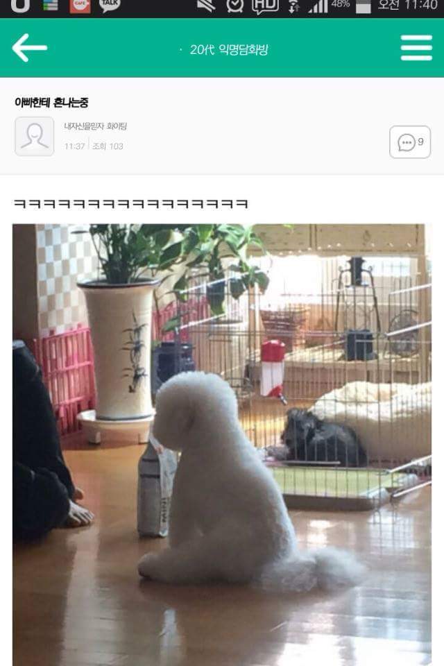 무민 이미지