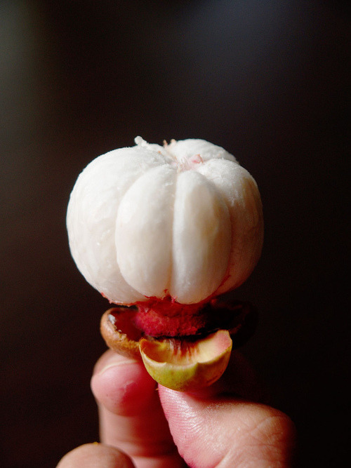  과일의 여왕이라고 불리는 과일.jpg | 인스티즈