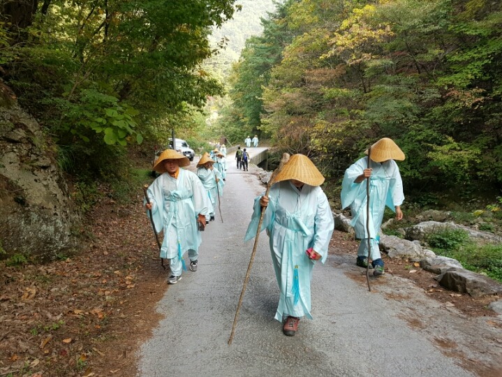 도반 이미지