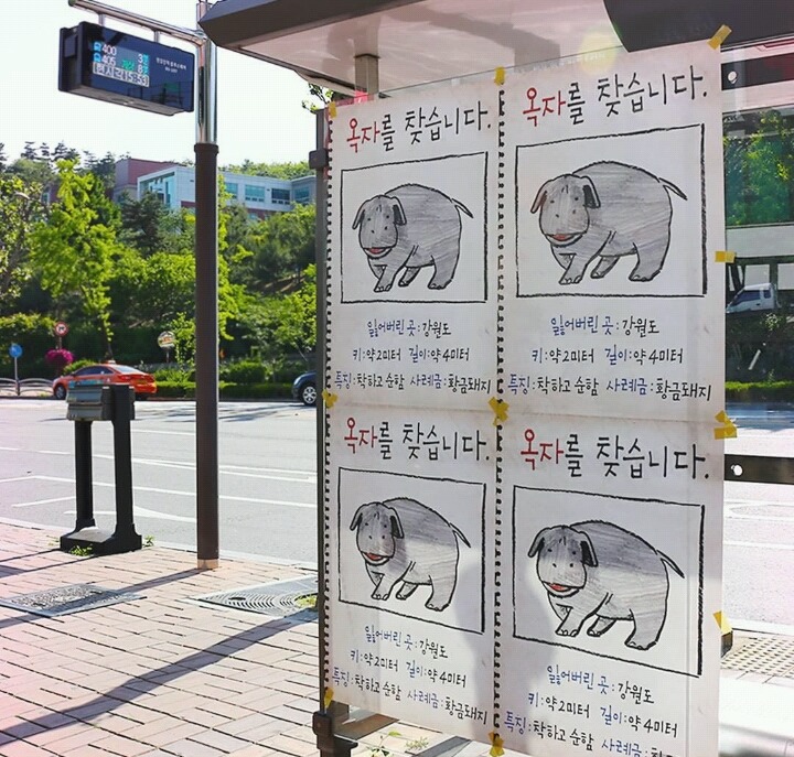 옥자 광고 포스터 | 인스티즈