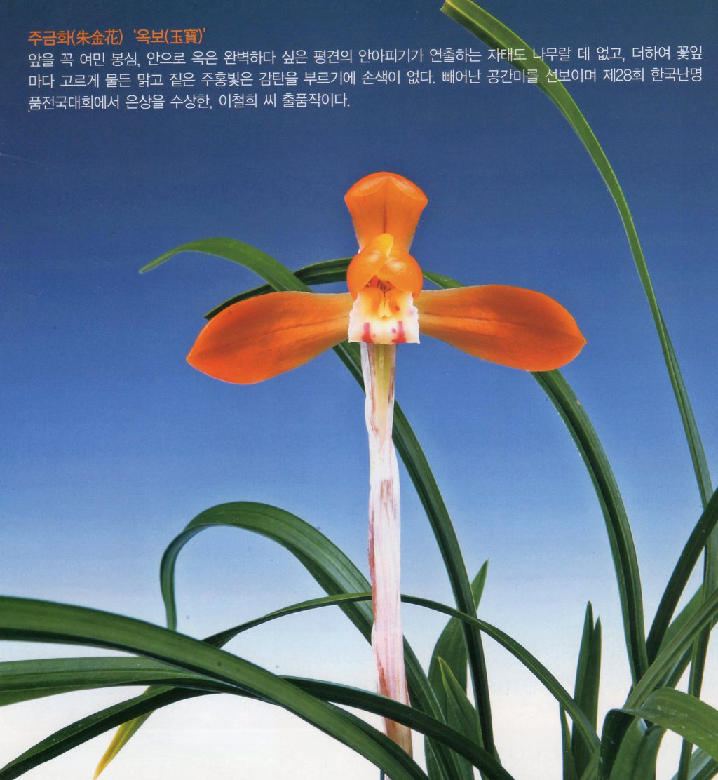 (주)금화 이미지