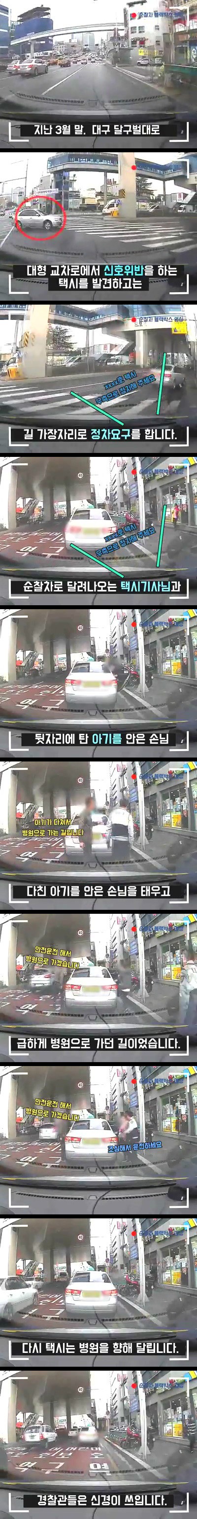 신호위반 하는 택시를 붙잡은 경찰 | 인스티즈