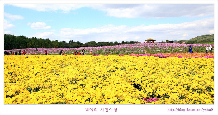 백야 이미지