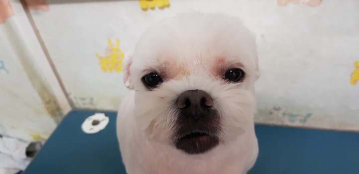 동화미용 이미지