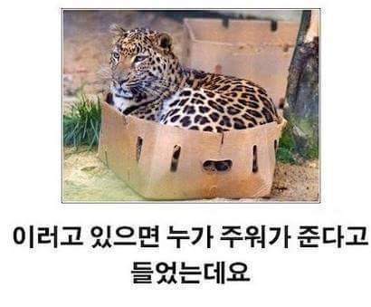 제목학원 레전드 모음.jpg | 인스티즈