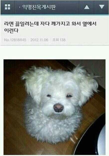 새벽에 라면끓여먹는데 엄마가 자다깨서.jpg | 인스티즈