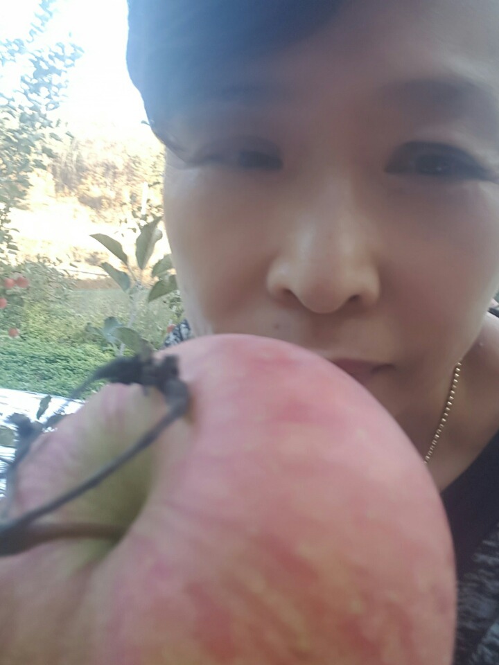 이제사과농원 이미지