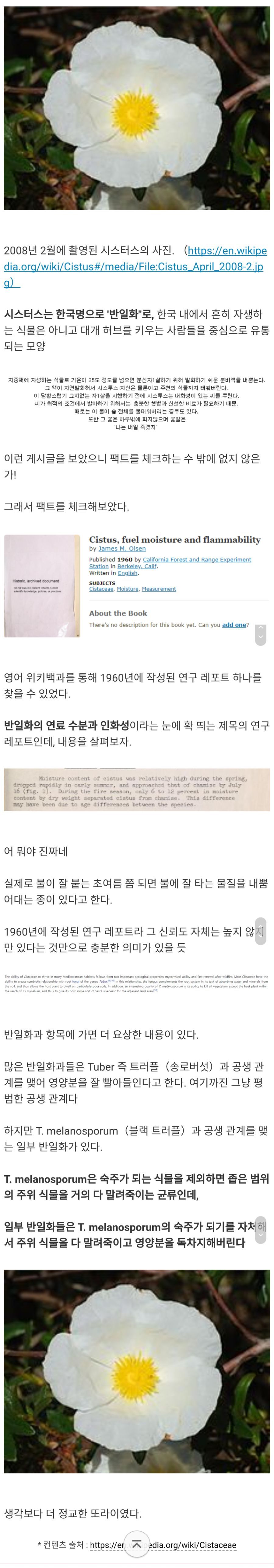 식물계 사이코패스의 진실.jpg | 인스티즈