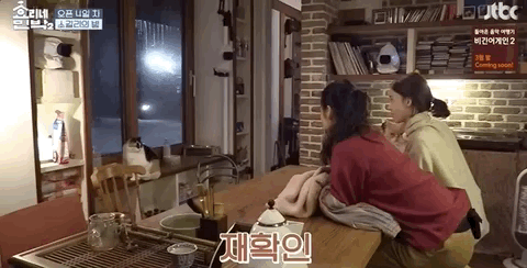 [효리네민박] 윤아와 눈인사 잘해주는 고양이 삼식이ㅠㅠ.gif | 인스티즈