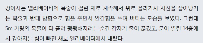 승강기에 목줄 걸린 강아지 구한 경찰. jpgif | 인스티즈