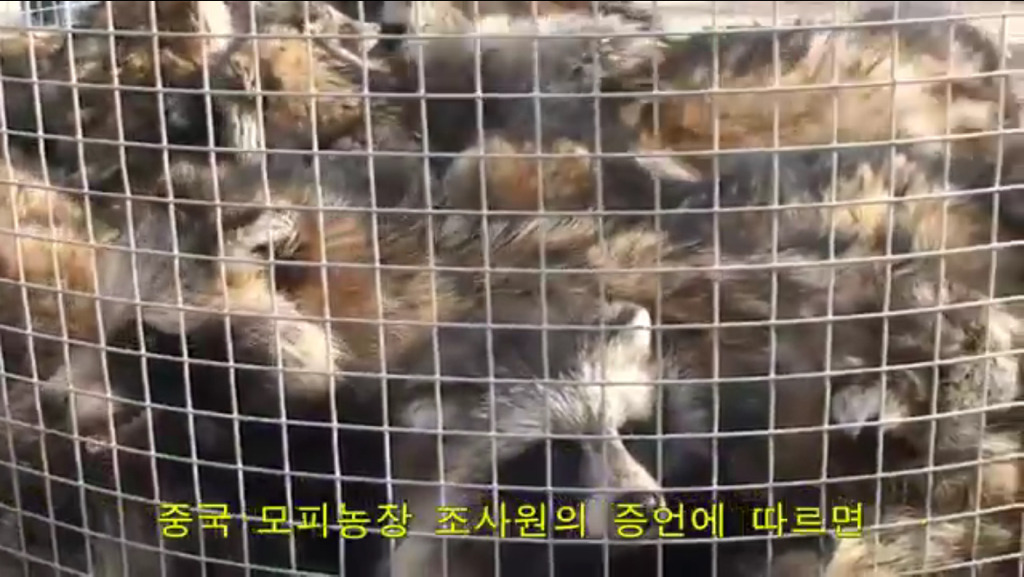 모르고 쓰는거면 몰라도 알면서 쓰는 사람들은 솔직히 인간으로 존중 못하겠는 부분.jpg (혐오주의) | 인스티즈
