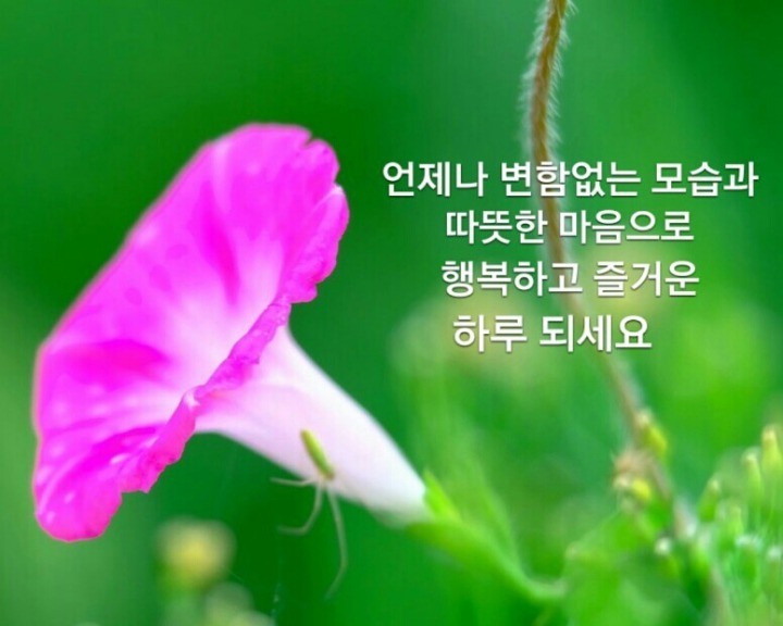 팔월 이미지
