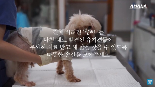  사람들이 홍대에서 인형을 뽑다 우는 이유는? | 인스티즈